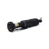 Air Suspension Strut MB SL-Class (R230) 03-06 2303200013
