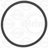 Oil Seal, automatic transmission Ford USA HL3Z-7A548-F