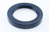 Seal Ring Seal Ring