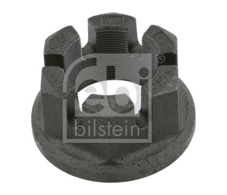 Nut, kingpin Universell verwendbar (z.B. DIN) 03.262.17.11.0