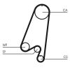 Timing Belt Kit CT 910 K1
