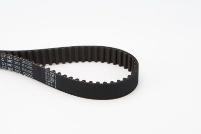 Timing Belt CT887