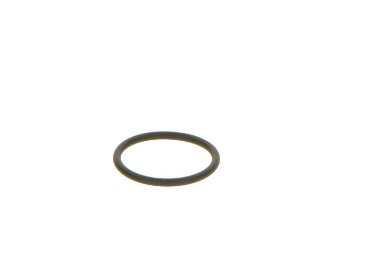 Seal Ring, injector BMW - 13 53 7 787 236