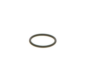 Seal Ring, injector BMW - 13 53 7 787 236