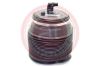 Air Spring, suspension Toyota 48090-60010