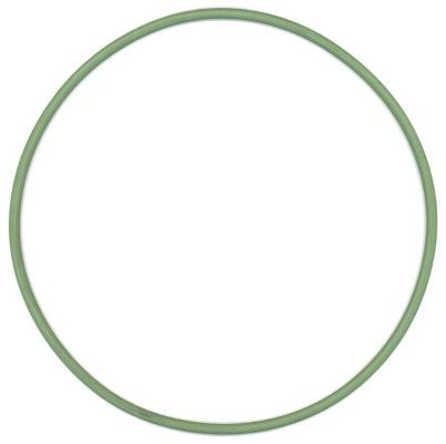 Seal Ring, cylinder liner DAIMLER NKW