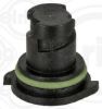 Screw Plug, oil sump Daf