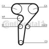 Timing Belt Kit CT 877 K1