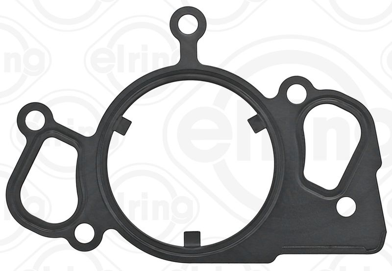 Gasket, water pump Rover