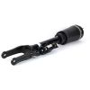 Air Suspension Strut 06-12 Mercedes Benz GL-Class. 05-11 ML-Class w/ADS