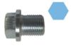 Screw Plug, oil sump SUBARU - 807016210