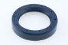 Seal Ring SAME 215101170
