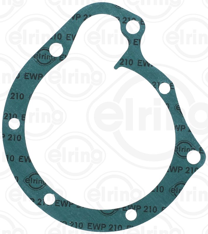 Gasket, water pump DAIMLER NKW