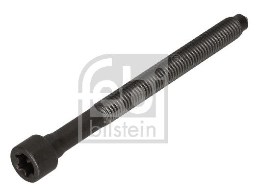 Cylinder Head Bolt VW-Audi 06D 103 385 D