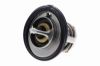 Thermostat, coolant HYUNDAI 25500-02800