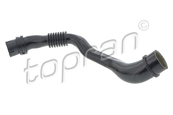 Hose, cylinder head cover ventilation VAG