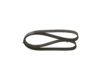 V-Ribbed Belt VAG - 036 145 933 AC - 6PK1153