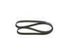V-Ribbed Belt VAG - 036 145 933 AC - 6PK1153