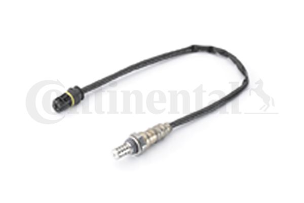 Oxygen Sensor