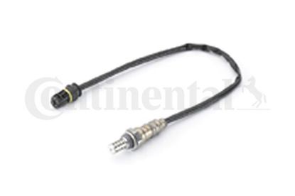 Oxygen Sensor