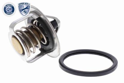 Thermostat, coolant MITSUBISHI MN 176384