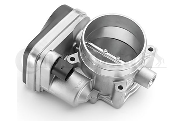 Throttle Body VW