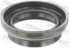 Seal Ring, wheel hub FORD KB3Z-4234-C, NISSAN 43252-EB000
