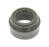 Seal Ring, valve stem