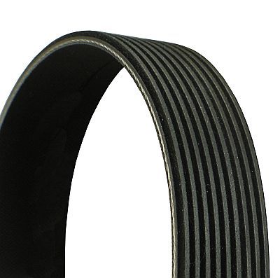 V-Ribbed Belt