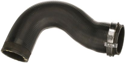 Charger Air Hose