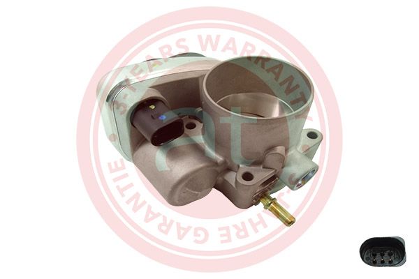 Throttle Body Renault