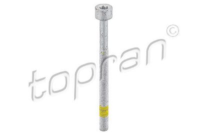 Screw Mercedes/Smart