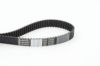 Timing Belt CT880