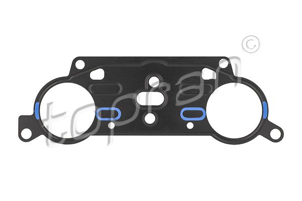 Gasket, timing case VAG