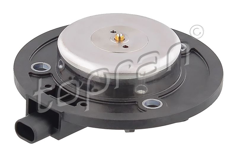 Central Magnet, camshaft adjustment VAG