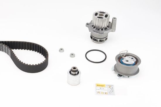 Water Pump & Timing Belt Kit CT1028 WP1
