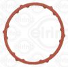 Gasket, charger FIAT 6000629757