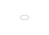 Seal Ring, injector O-ring