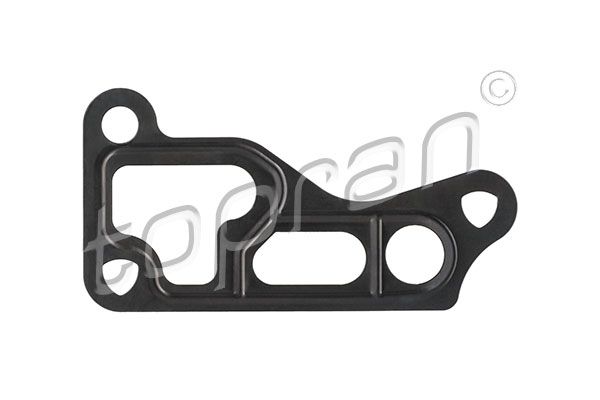Gasket, oil filter housing