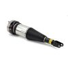 Air Suspension Strut 07-12 Fourth Generation Lexus LS-460 w/2WD