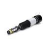 Air Suspension Strut MB S-Class (W220) 99-06 esi 2203202438