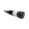 Air Suspension Strut MB S-Class (W220) 99-06 esi 2203202438