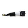 Air Suspension Strut MB S-Class (W220) 99-06 esi 2203202438