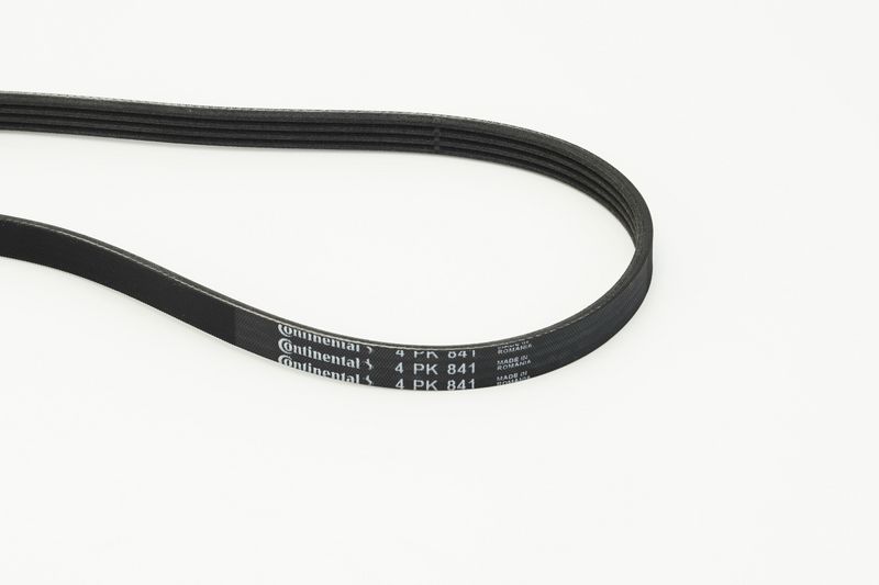 V-Ribbed Belt VAG - 038 260 849A