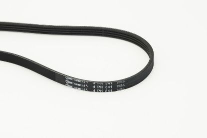 V-Ribbed Belt VAG - 038 260 849A