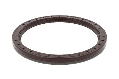 Shaft Seal, manual transmission MAN 020482890333