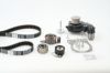 Water Pump & Timing Belt Kit CT 901 WP1