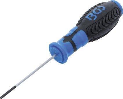 Screwdriver Internal Hexagon Screwdriver, H2.5 x 75 mm
