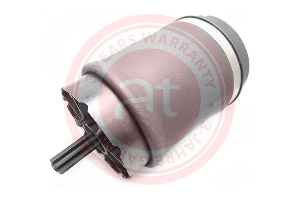 Air Spring, suspension Land Rover Range Rover III (2002 - 2012)