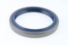 Seal Ring Volvo 14214318
